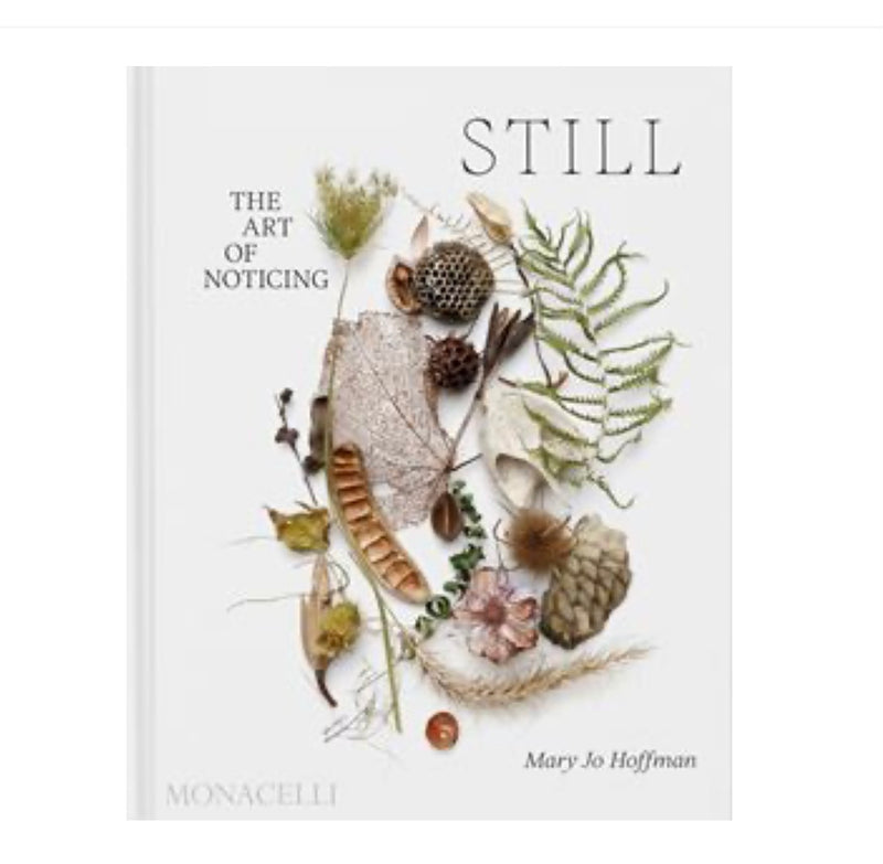 The Art of Noticing