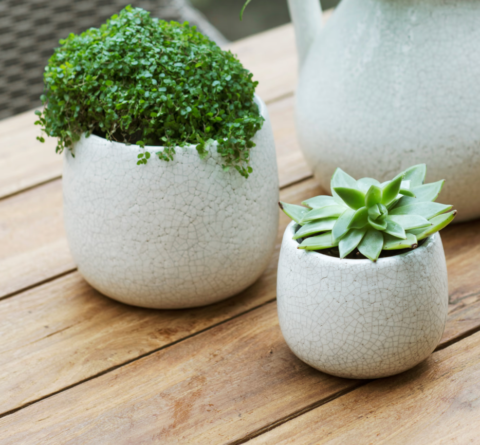 Ravello Pot