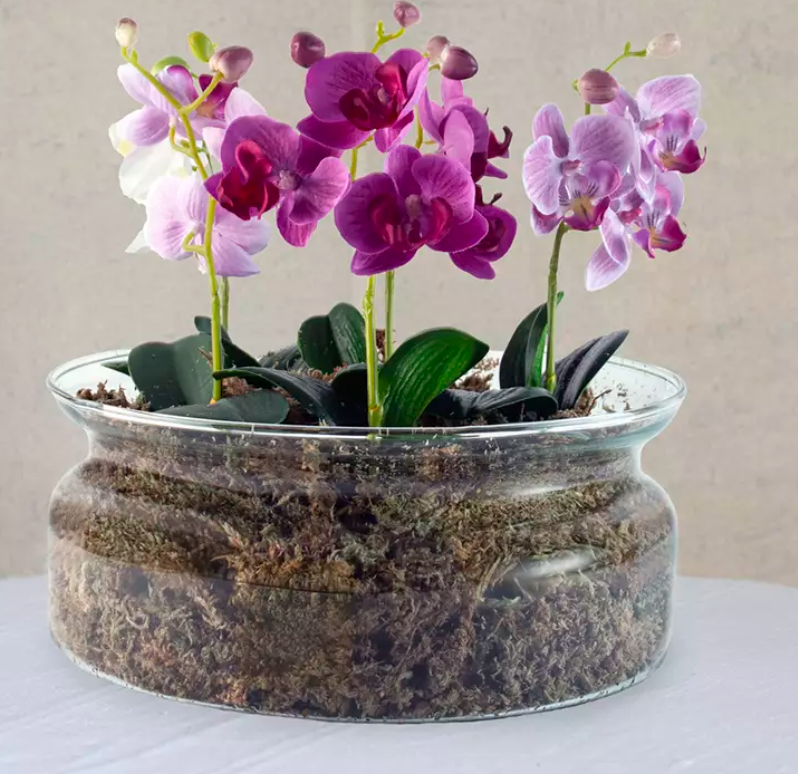 Glass Planter